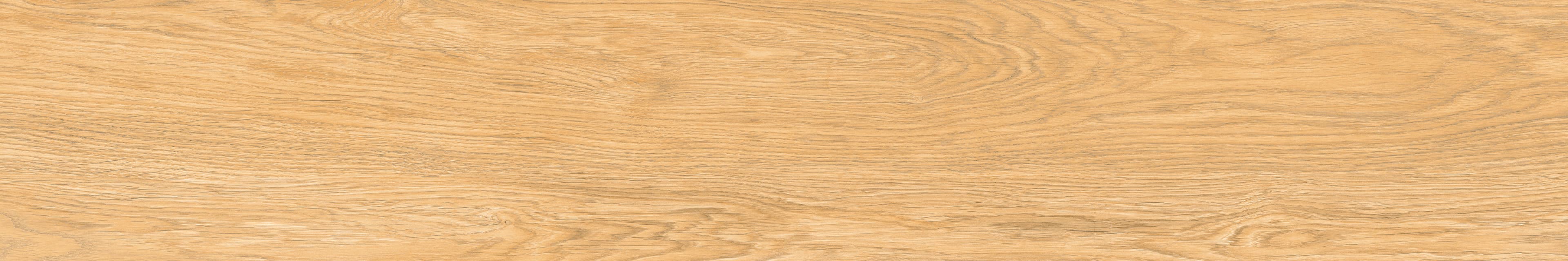 Cerrad Neosimple Beige