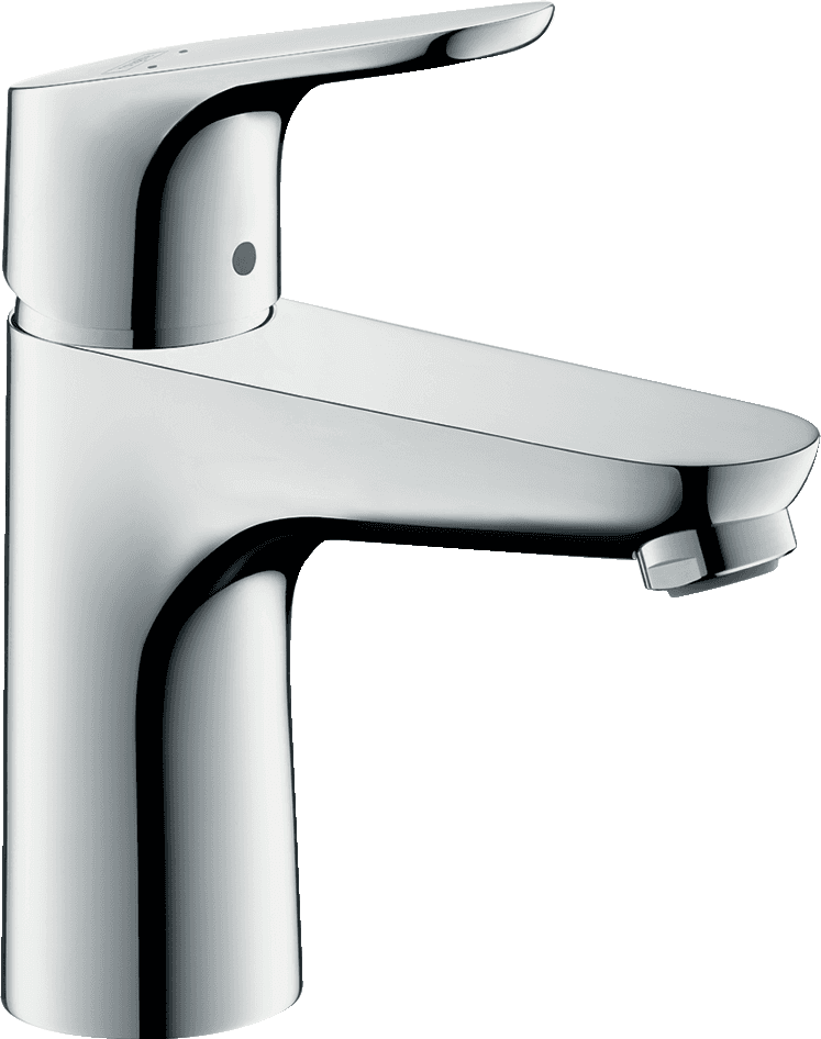 Hansgrohe Focus 31607000