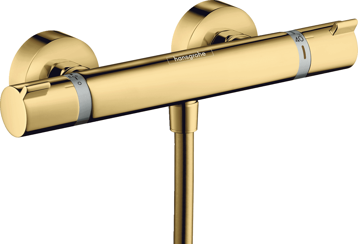 Hansgrohe Ecostat 13116990