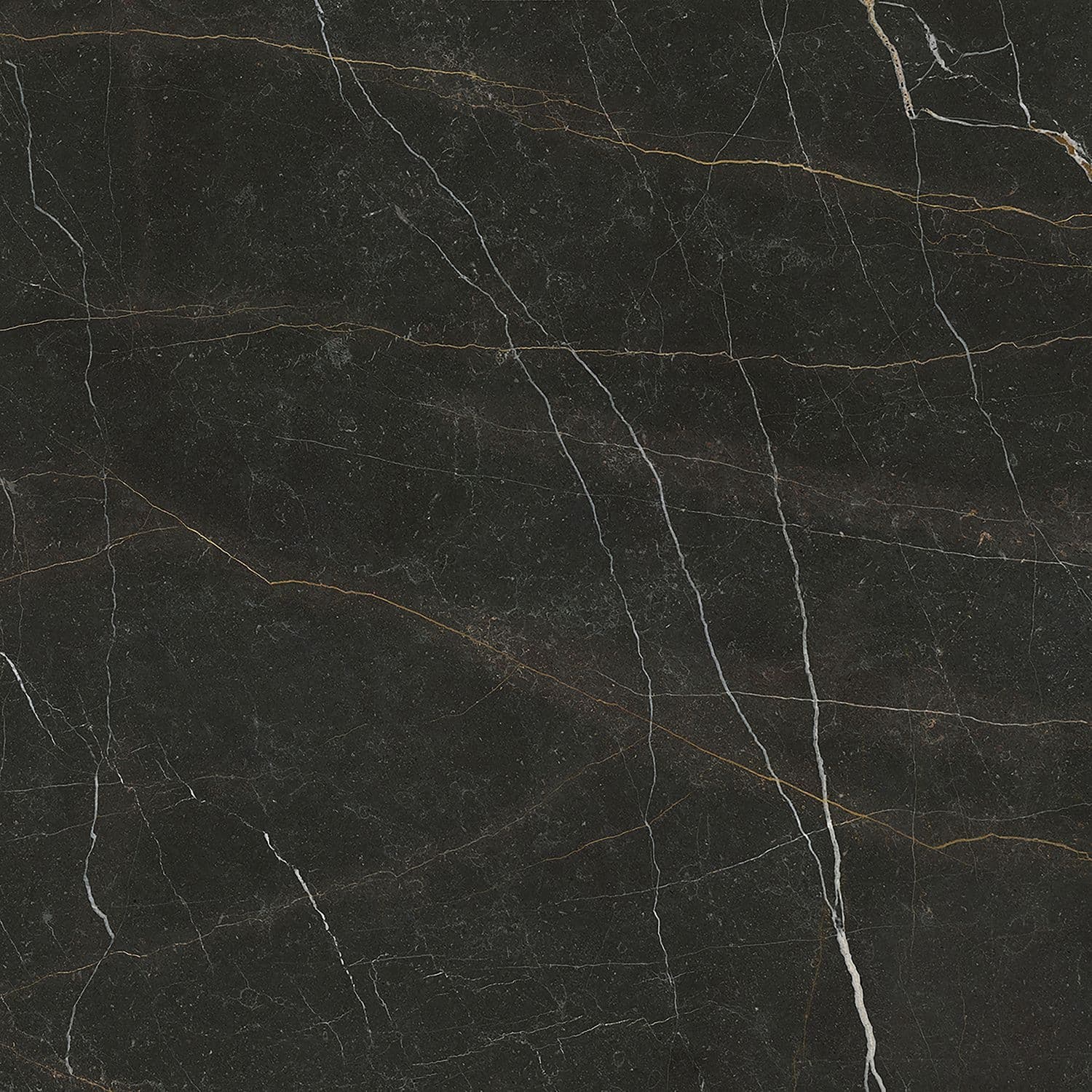 Azario Gold Nero