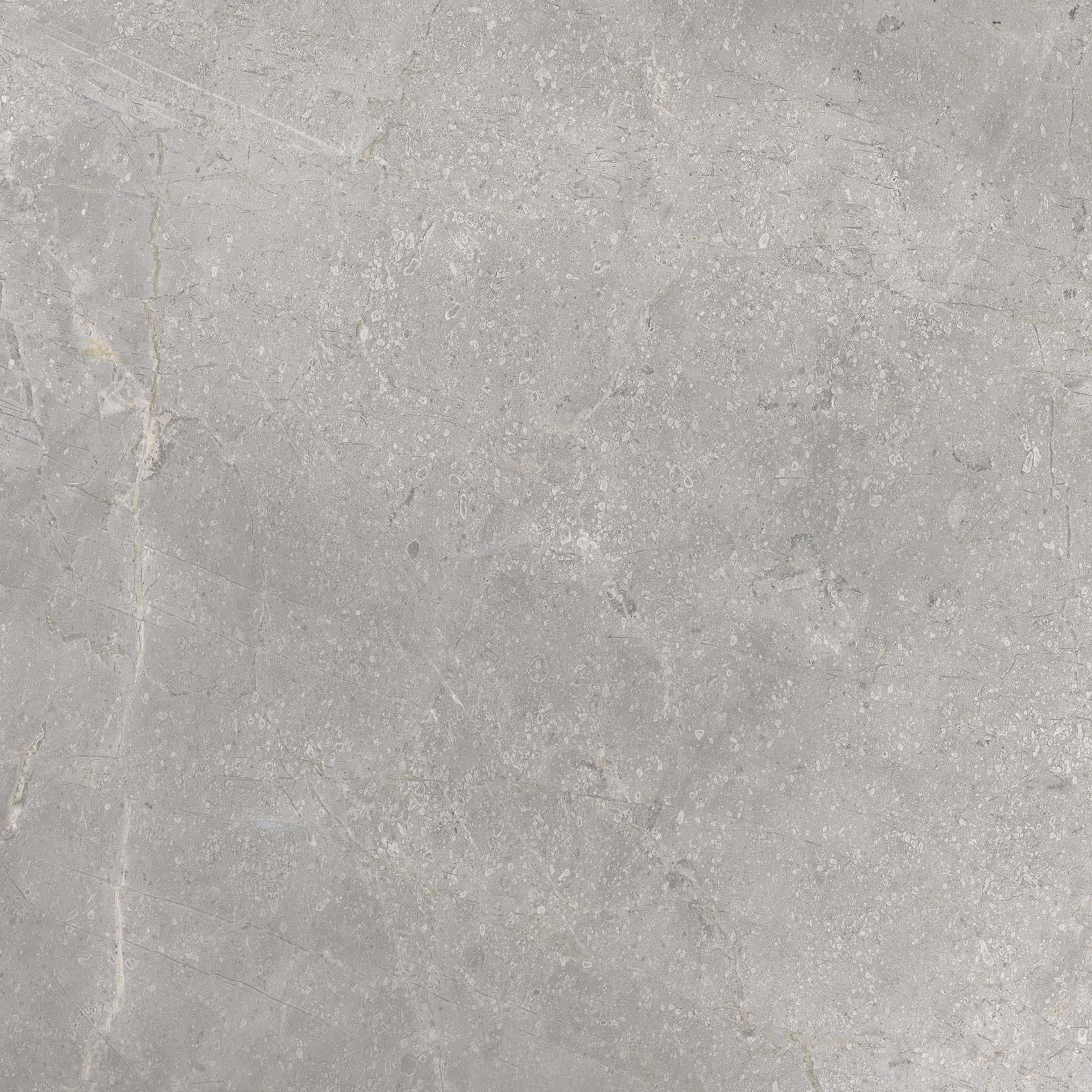 Cerrad Masterstone Silver Mat, Gładka